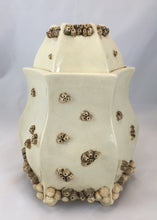 Load image into Gallery viewer, Fanum