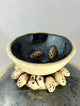 Load image into Gallery viewer, Tender Seeds From Another World